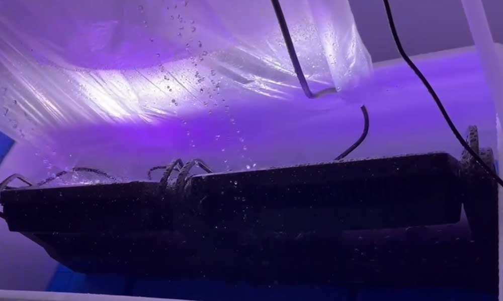 IP65 waterproof test of 1000W LED moving head strobe light